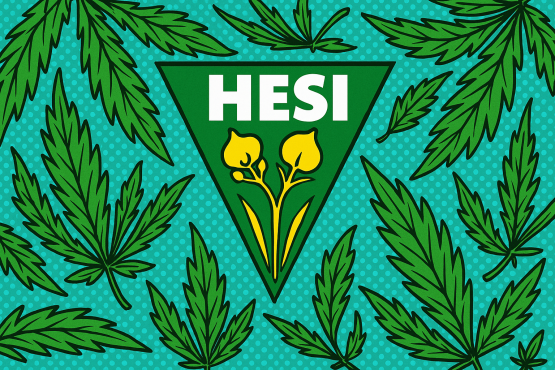 Hesi