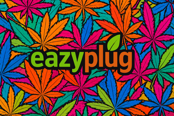 Eazy Plug