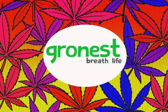 Gronest Stofftopf