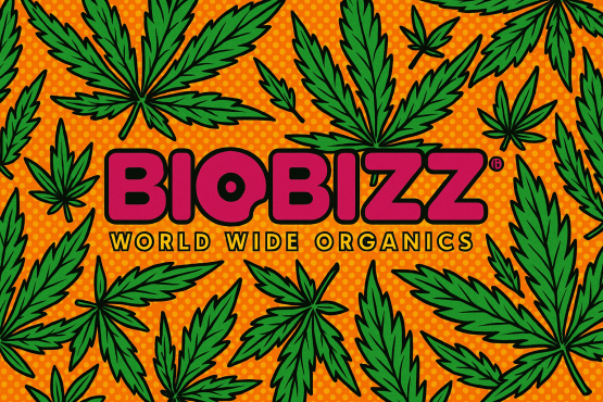 Bio Bizz
