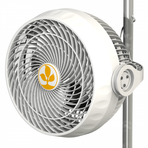 Secret Jardin Monkey Fan Oscillating 17cm 20W Ball Bearing