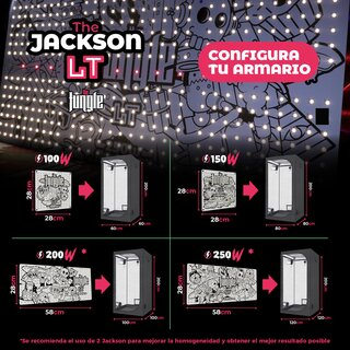 The Jungle The Jackson LT 100W