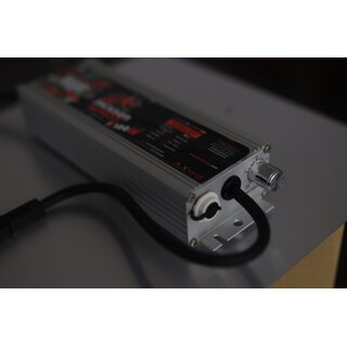 The Jungle The Jackson LT 100W