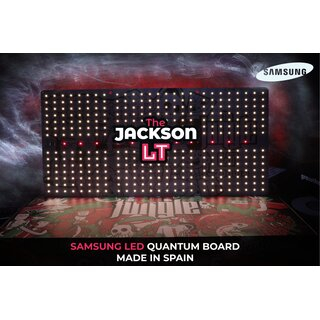 The Jungle The Jackson LT 200W