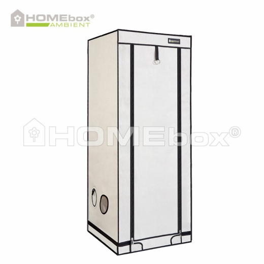 Homebox Ambient Q80+