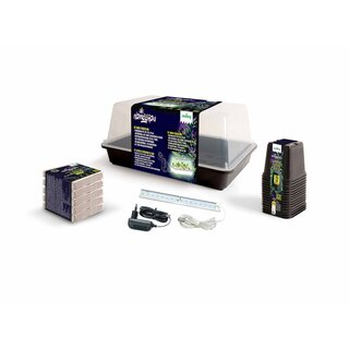 Romberg Homegrow BASIC STARTER BOX