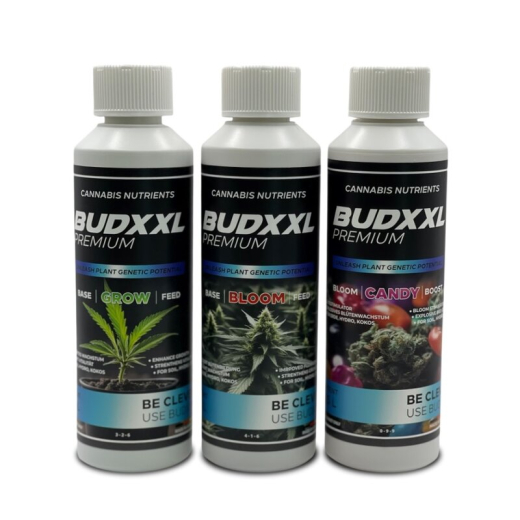 BUDXXL Grow-Box