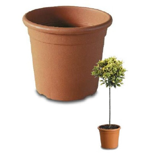 Topf Athena Rund Terracotta D:30cm 18L