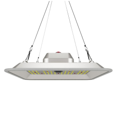 Greenception GC-PURE 80W